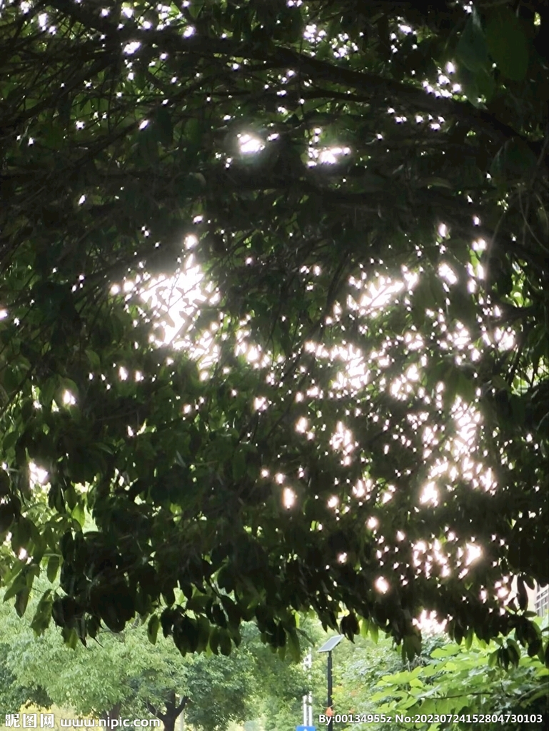 点点星光