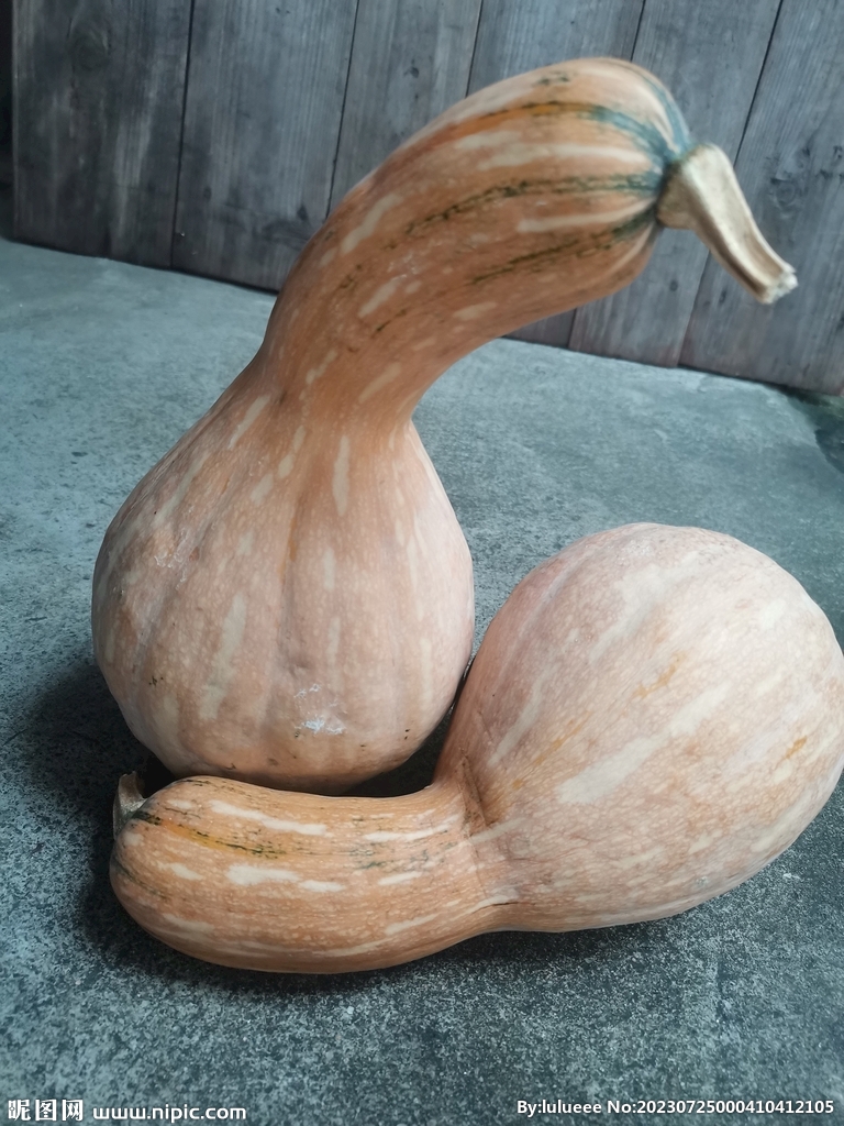 南瓜