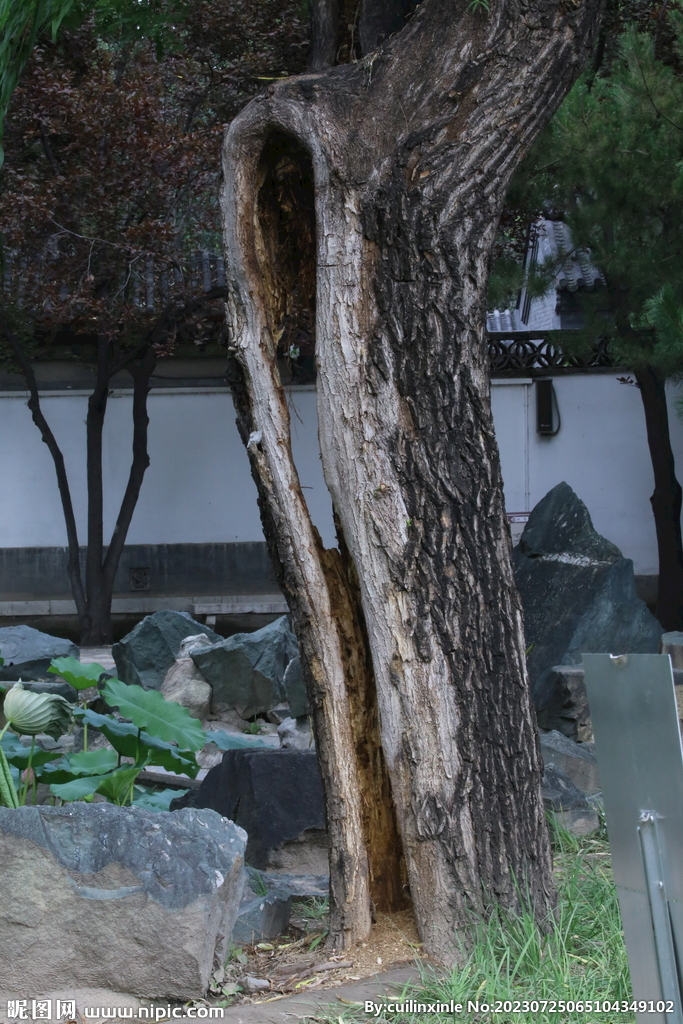 公园风景 
