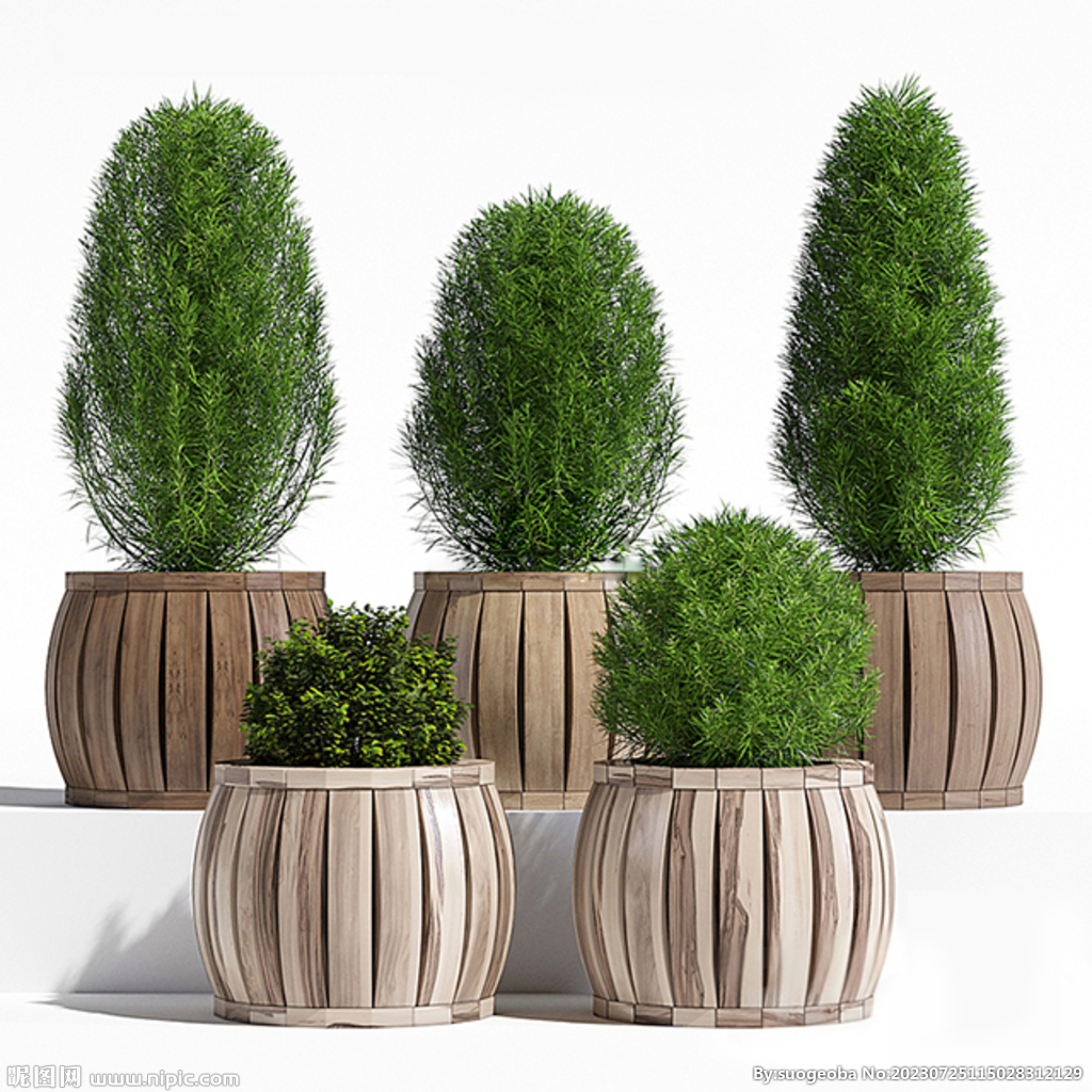 C4D模型 绿色植物 