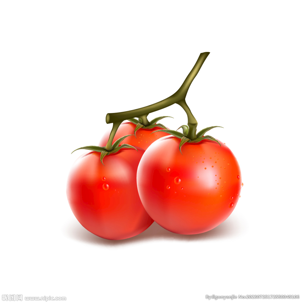 番茄 