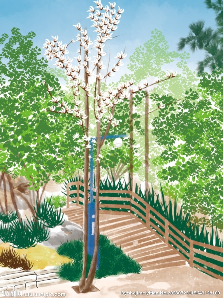 白玉兰花树的风景插画