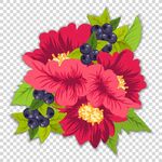 手绘花卉