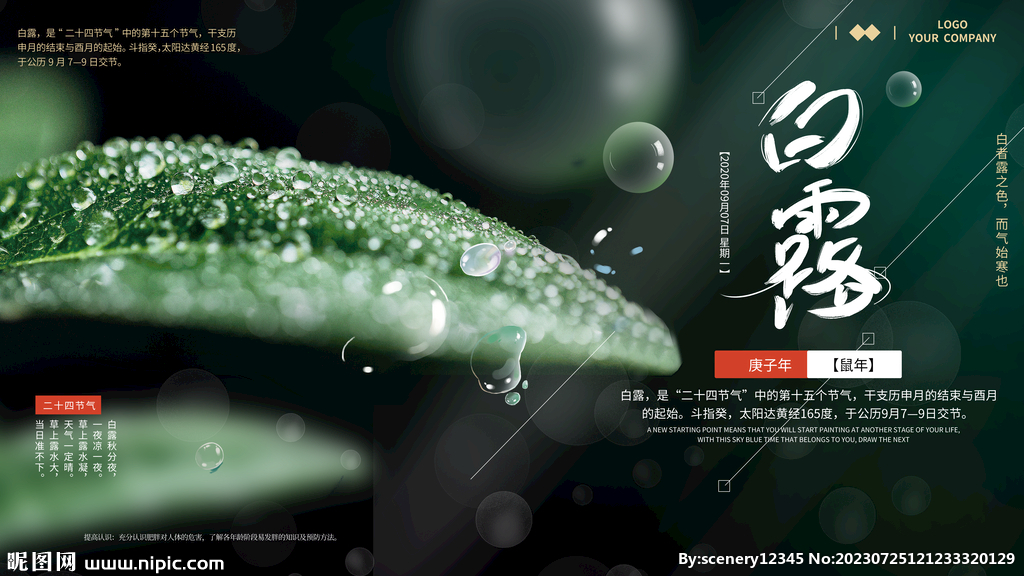 白露节气海报