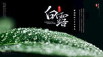白露节气海报