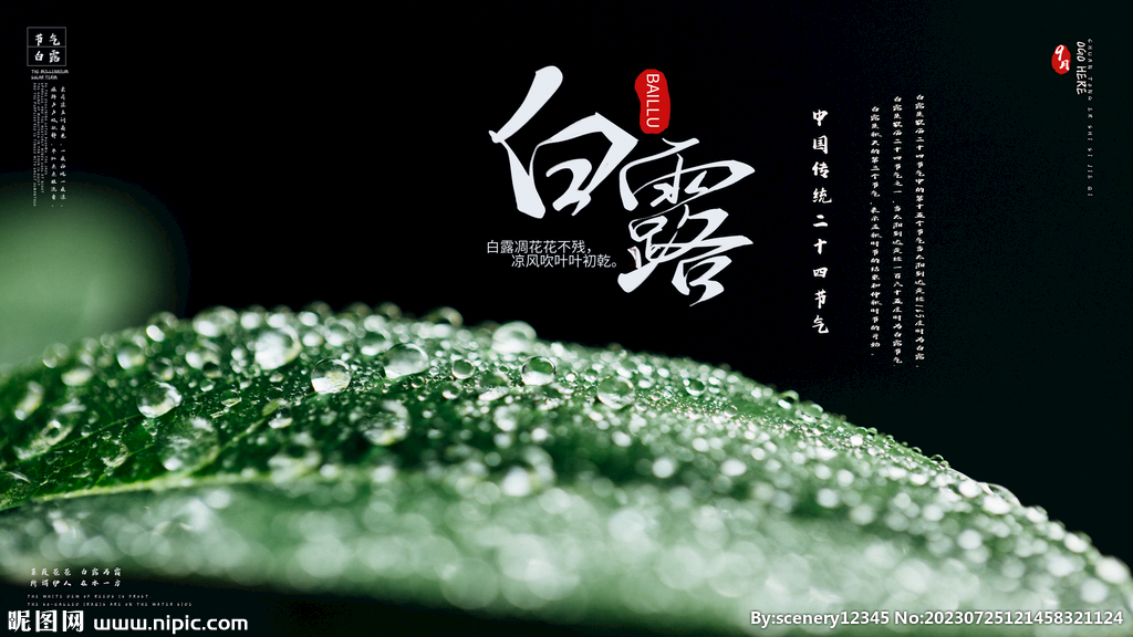 白露节气海报