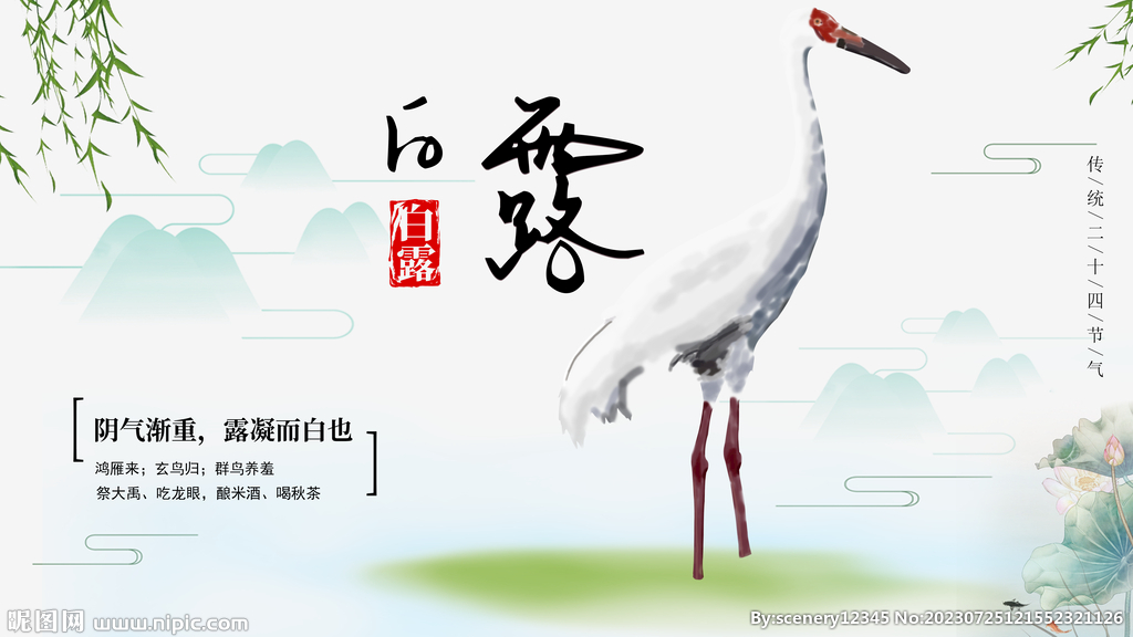 白露节气海报