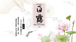 白露节气海报
