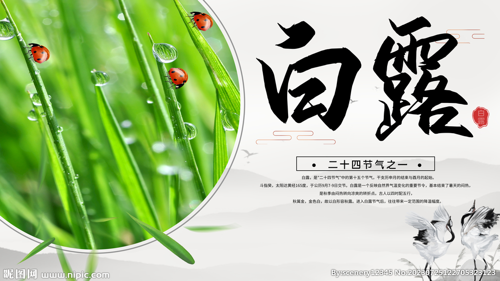 白露节气海报