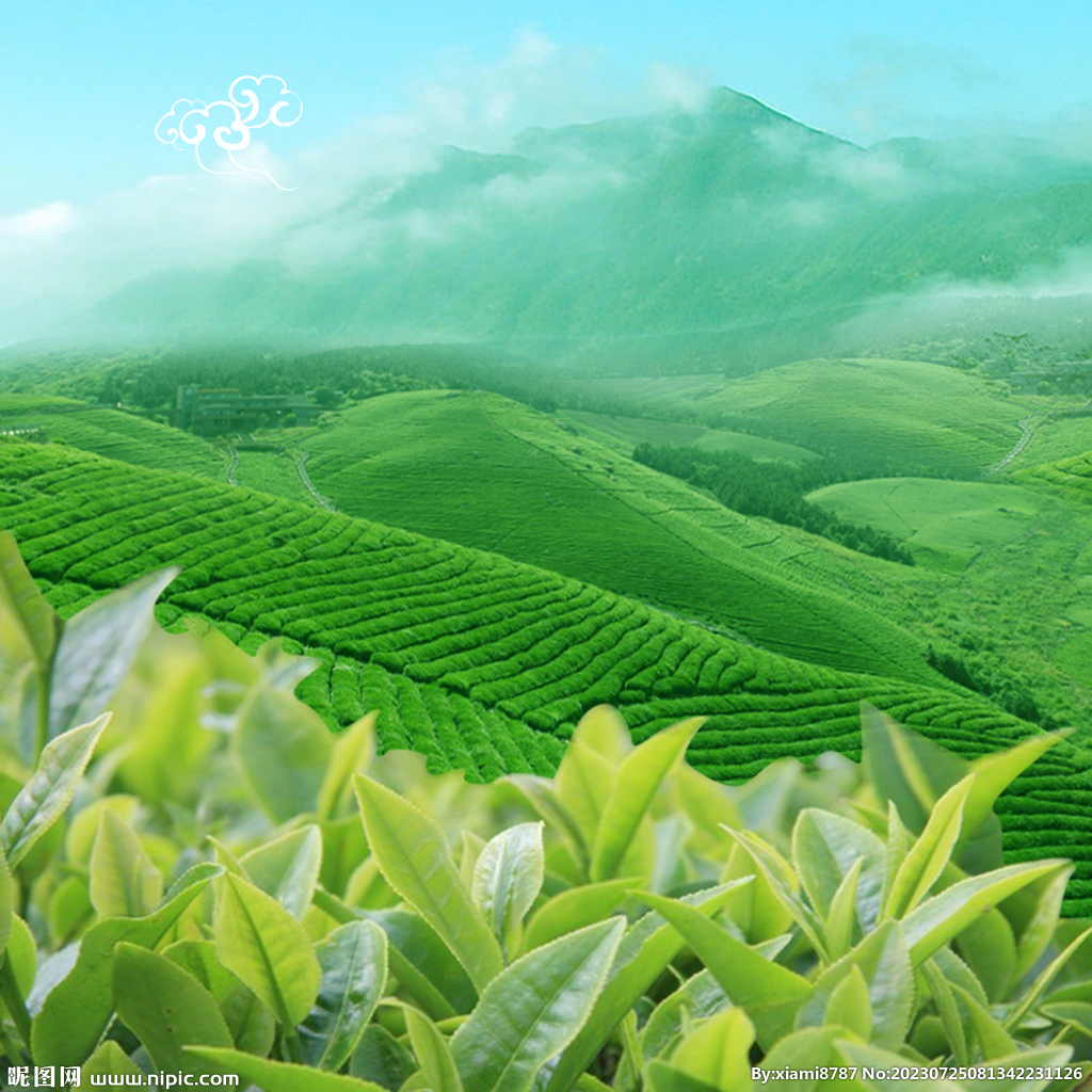 茶园
