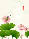 荷花背景