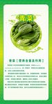 青菜的营养