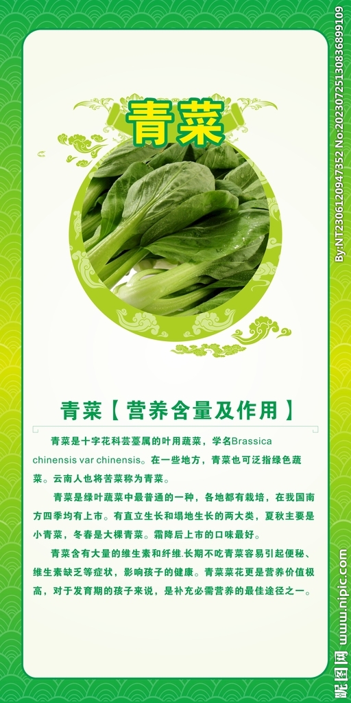青菜的营养