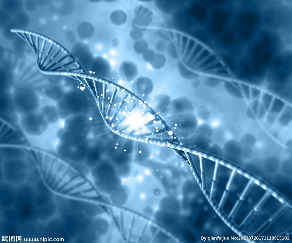DNA基因图片
