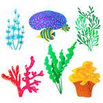 海草珊瑚