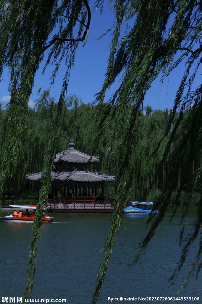 公园风景
