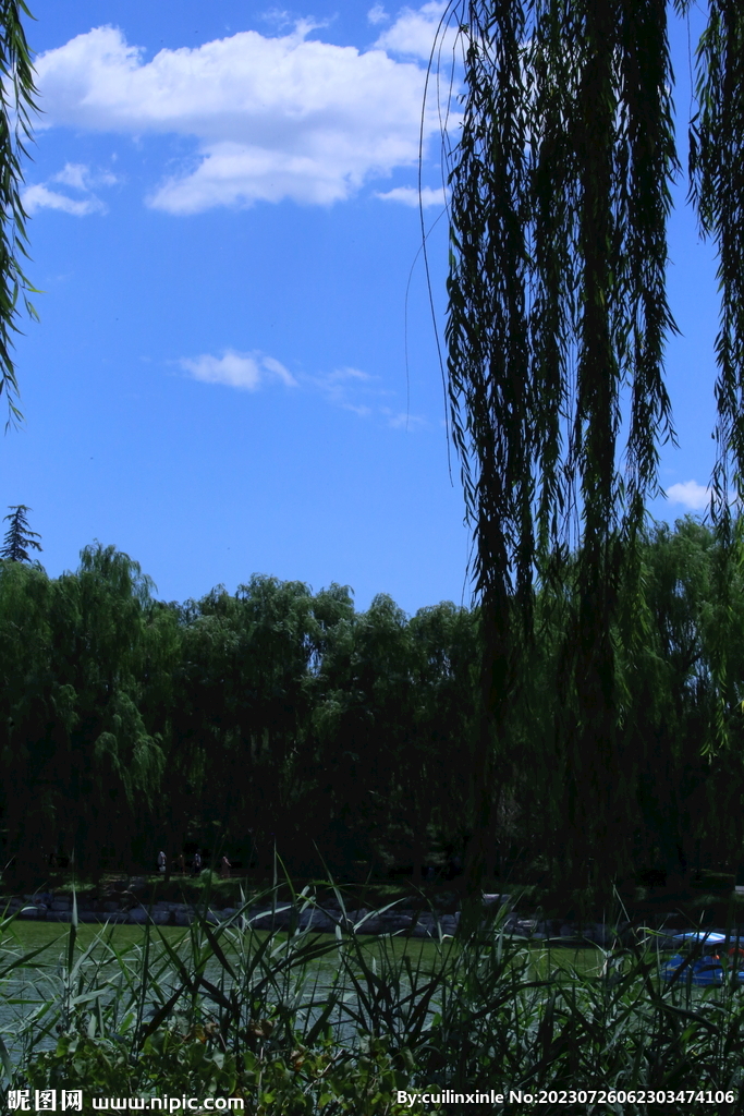 公园风景