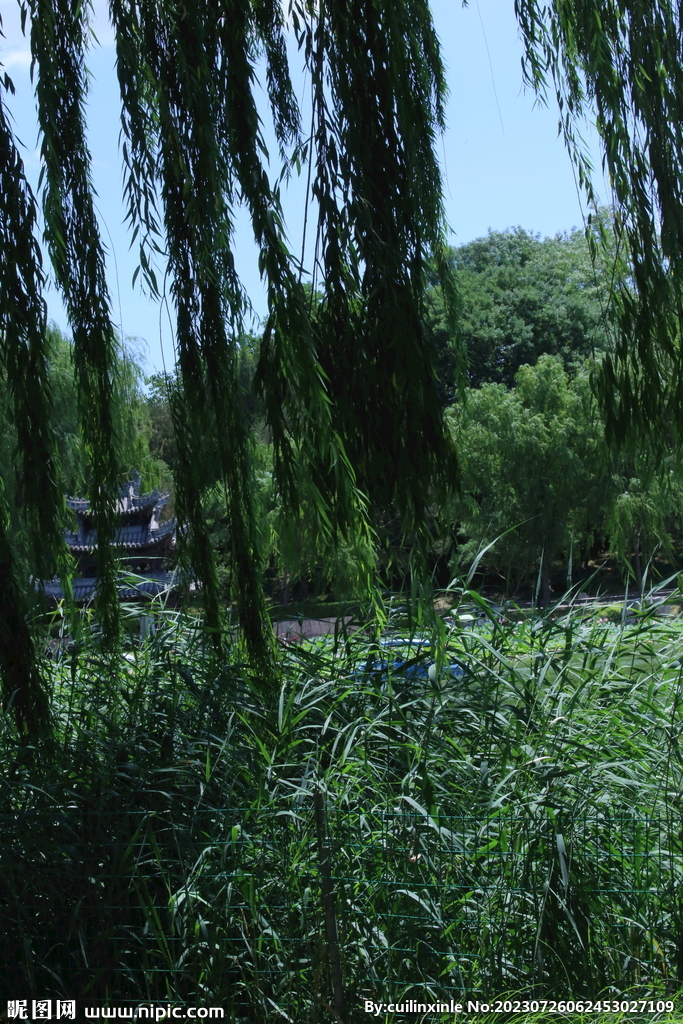 公园风景 