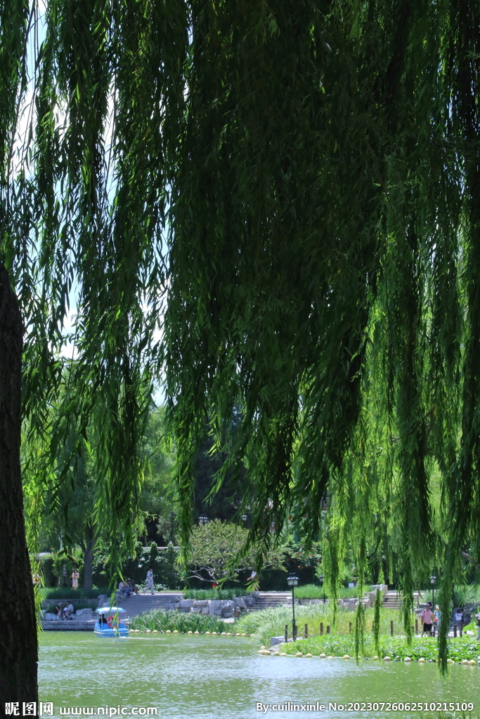 公园风景 