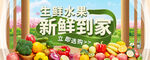 生鲜水果banner海报