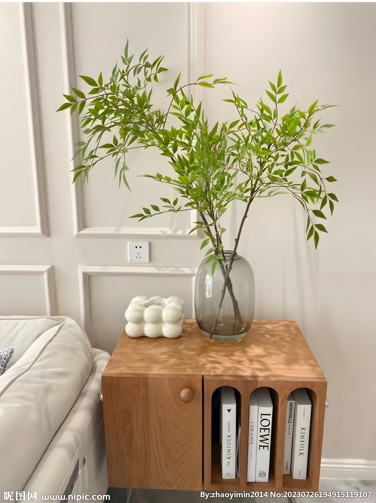 水培植物