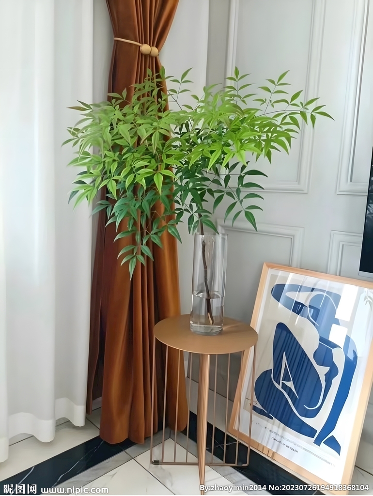 水培植物