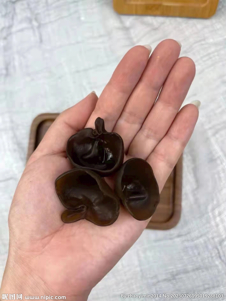木耳