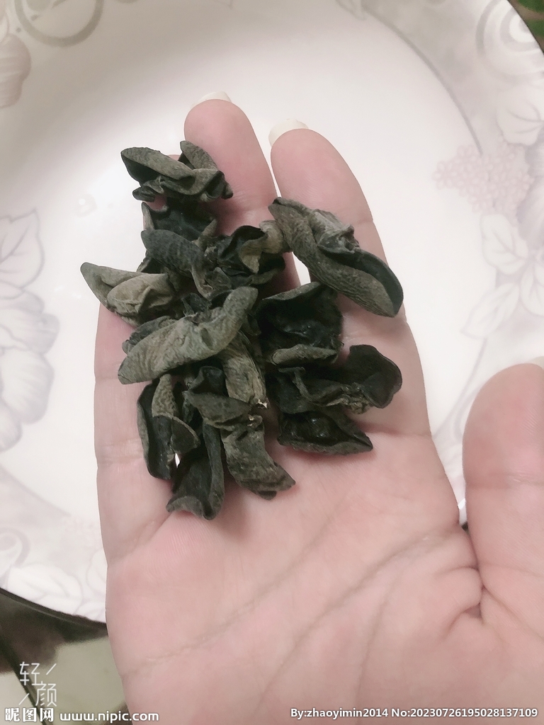 木耳