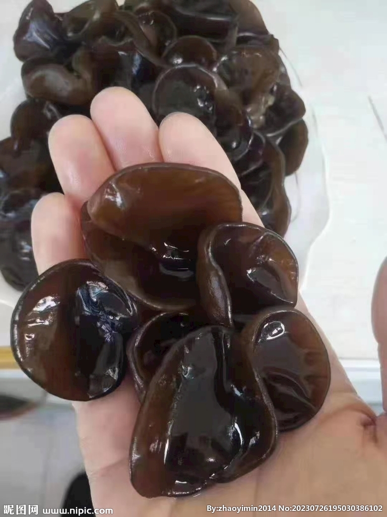 木耳