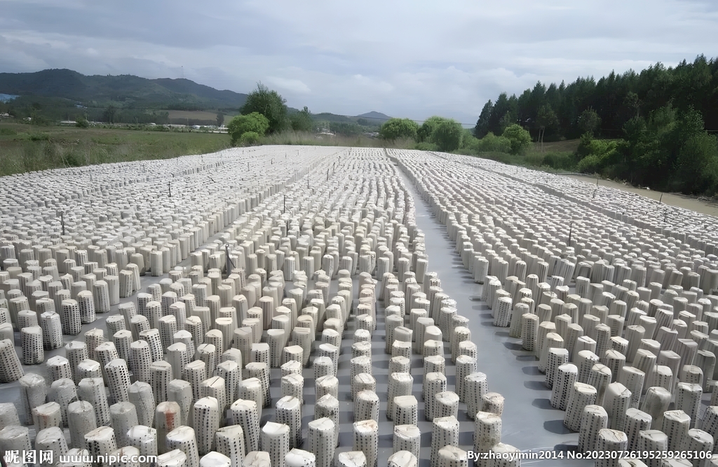 木耳栽培基地