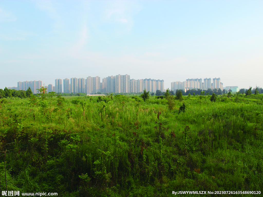   城市    风景   