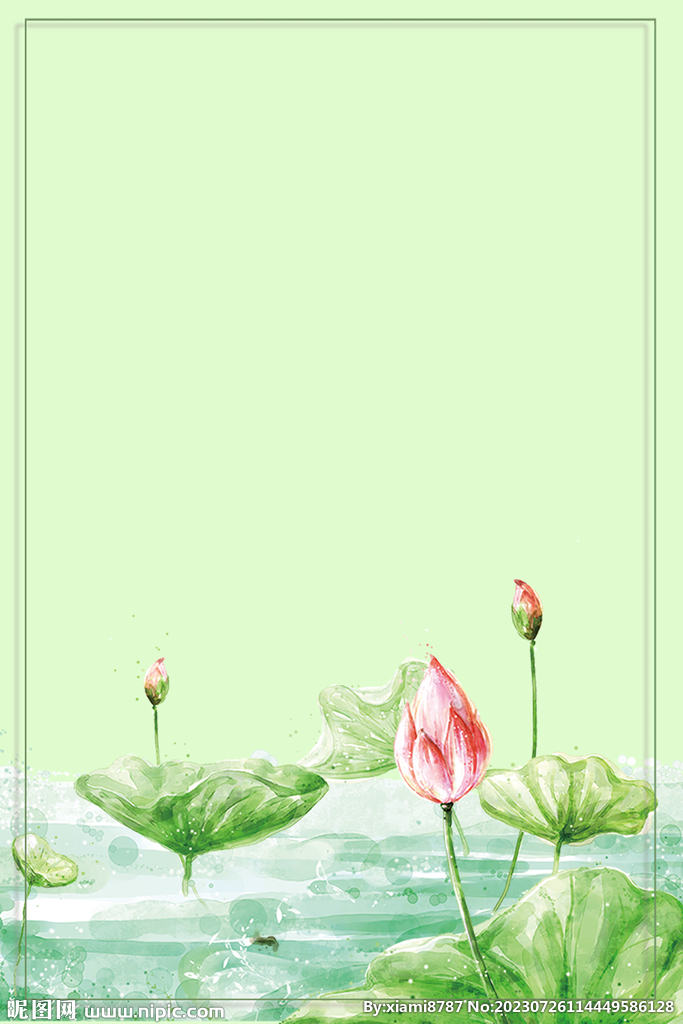 荷花背景