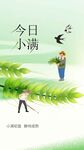 小满