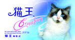 纸巾印刷纸品包装盒