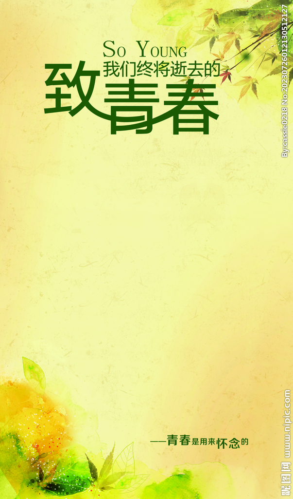 致青春