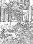 龙纹