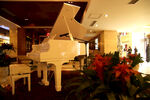 酒店钢琴
