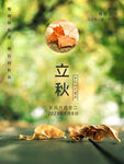 立秋背景