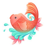 锦鲤 