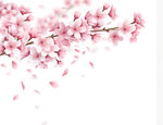 桃花图片