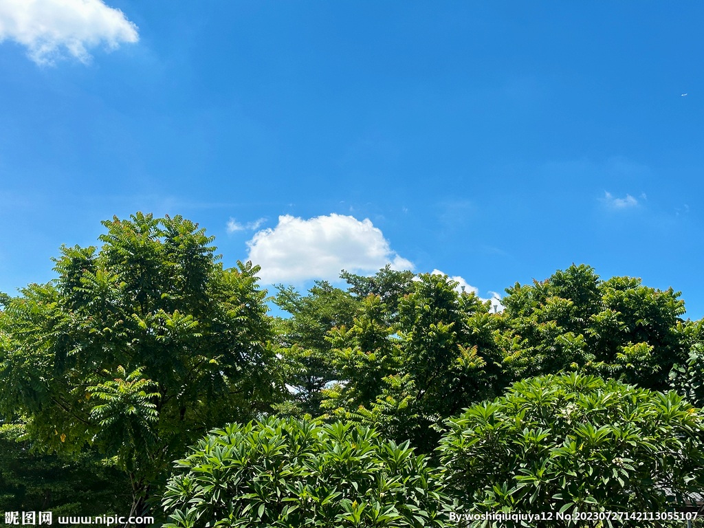 夏日天空