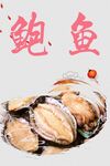 鲍鱼