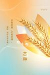 芒种