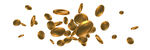 金币