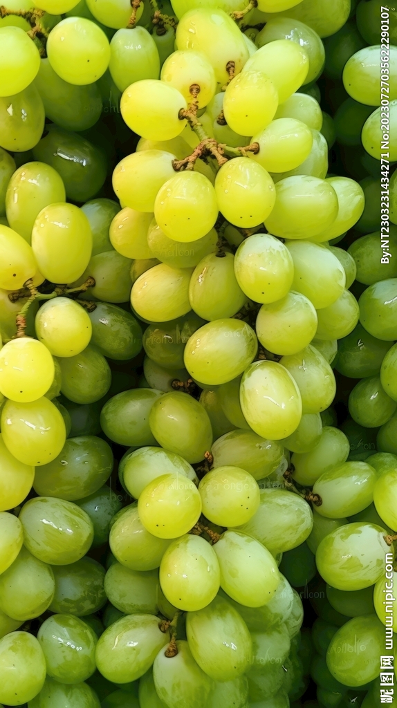 葡萄 