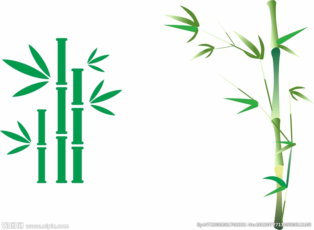 竹子绘制