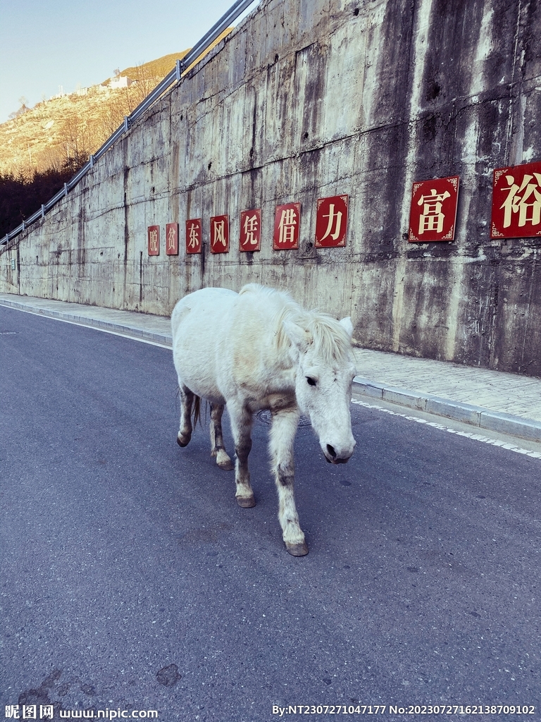 马