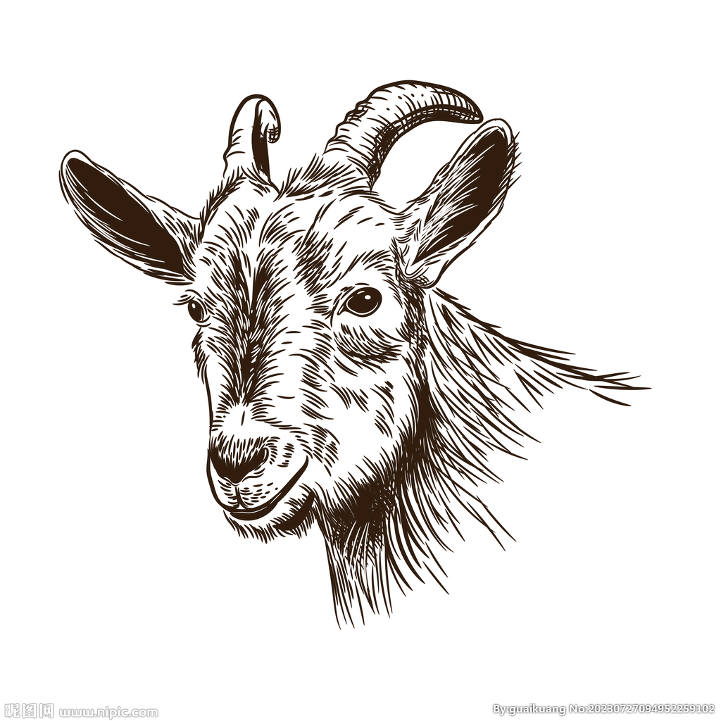 羊头雕刻插画图片素材_ID:369487921-Veer图库