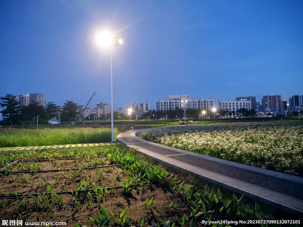 夜间种植地