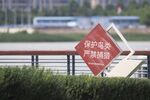 保护环境标识